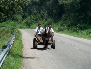Horse drawn wagons are a common sight on Romanian roadways